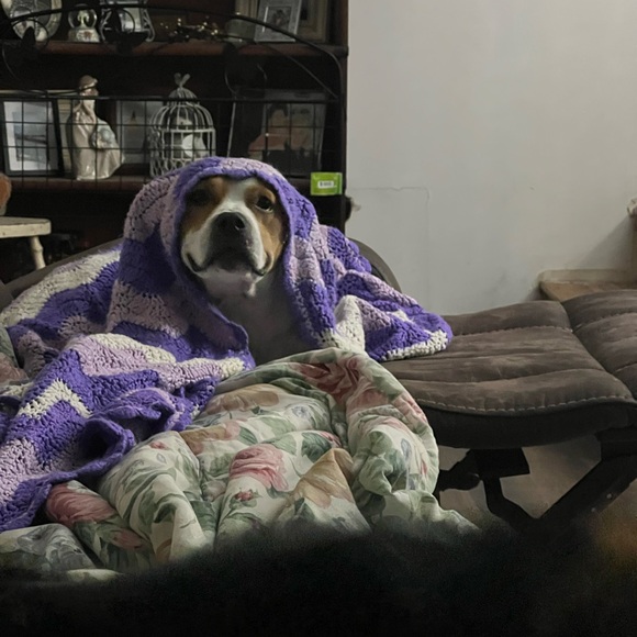 Pop up tonight - Picture 12 of 12